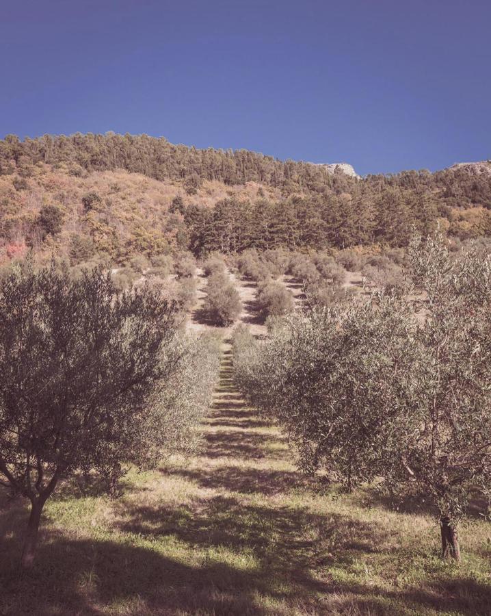 Agriturismo Querceto Mocaiana 外观 照片