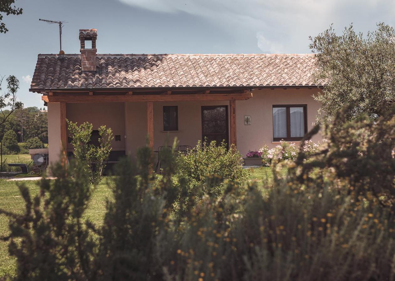 Agriturismo Querceto Mocaiana 外观 照片